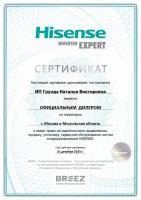 Hisense AS-24HW4SBATG005