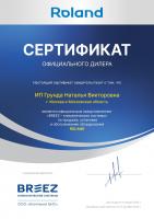 Roland RD-WZ09HSS/N1